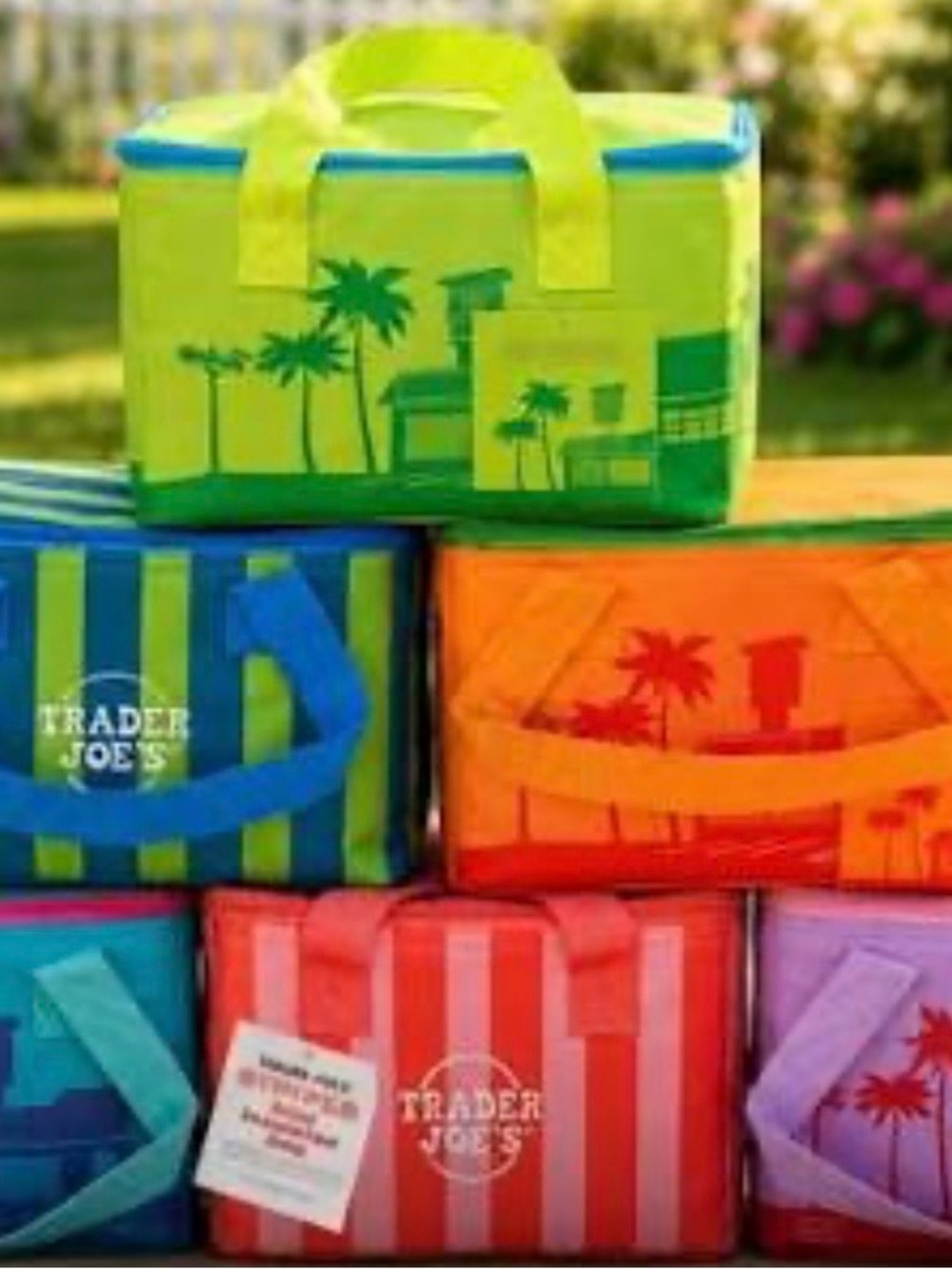 Trader Joe's Colorful Insulated Grocery Tote - 6 pack you get one of each